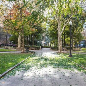 Raining Leaves At Ritten House Sq ,Canvas Art,Photograph,