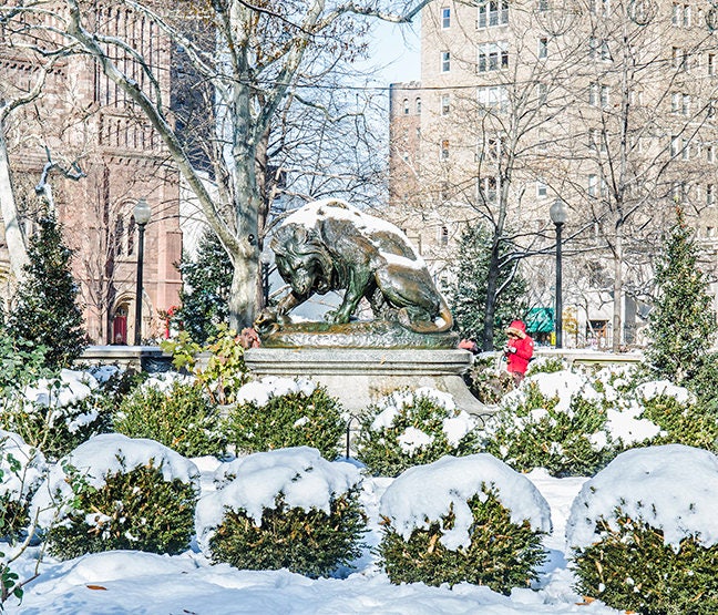 Lion Statue At Ritten House Sq ,Snow Seen(20x27),Canvas Art.