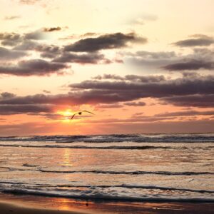 Ocean City Beach At sunrise (20x27) Giclee On Canvas